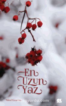 En Uzun Yaz kitap kapağı