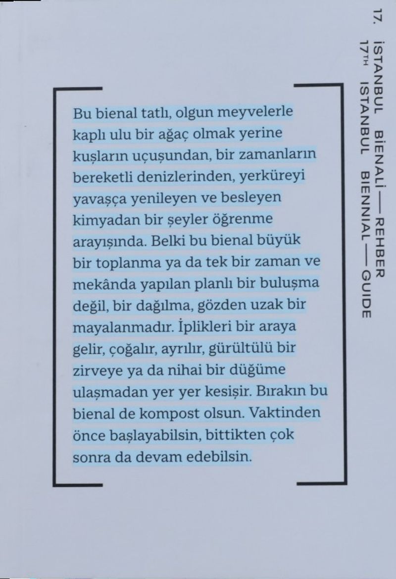 17. İstanbul Bienali - Rehber kitap kapağı