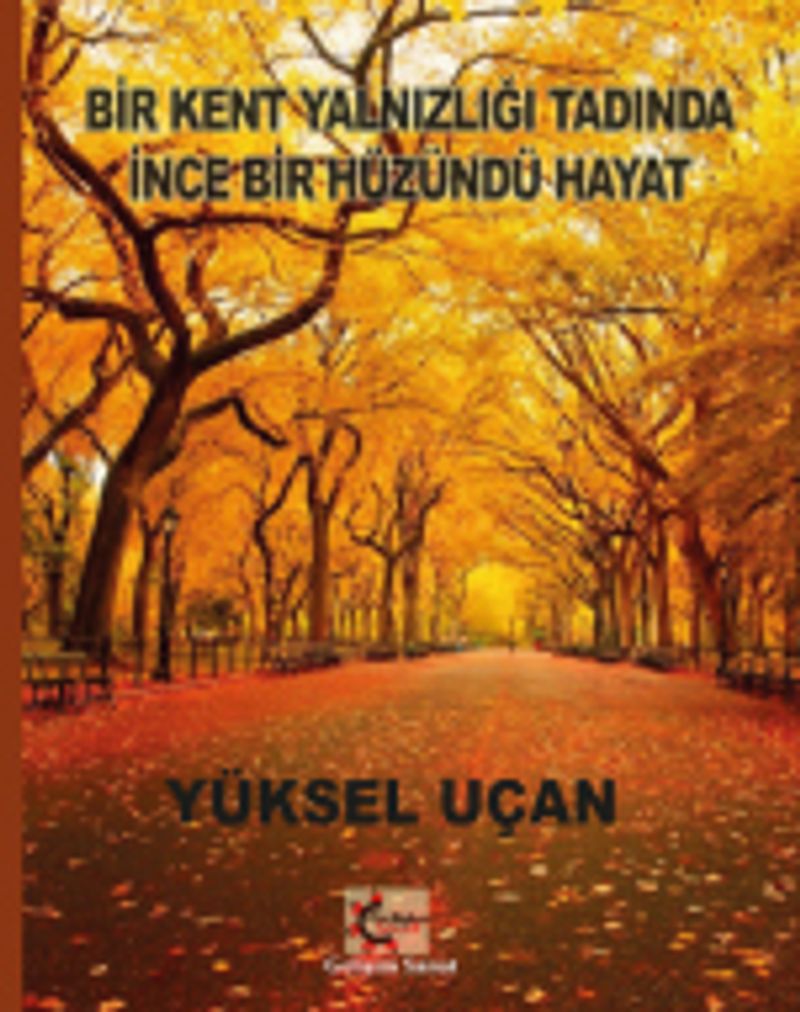 Bir Kent Yalnızlığı Tadında İnce Bir Hüzündü Hayat kitap kapağı