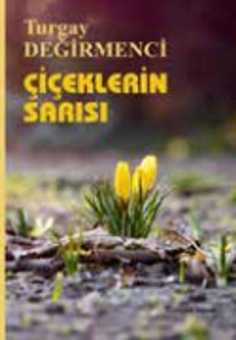 Çiçeklerin Sarısı kitap kapağı