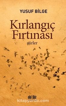 Kırlangıç Fırtınası kitap kapağı