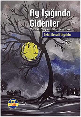 Ay Işığında Gidenler kitap kapağı