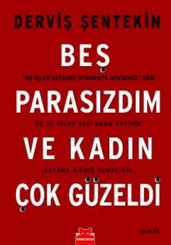 Beş Parasızdım Ve Kadın Çok Güzeldi kitap kapağı