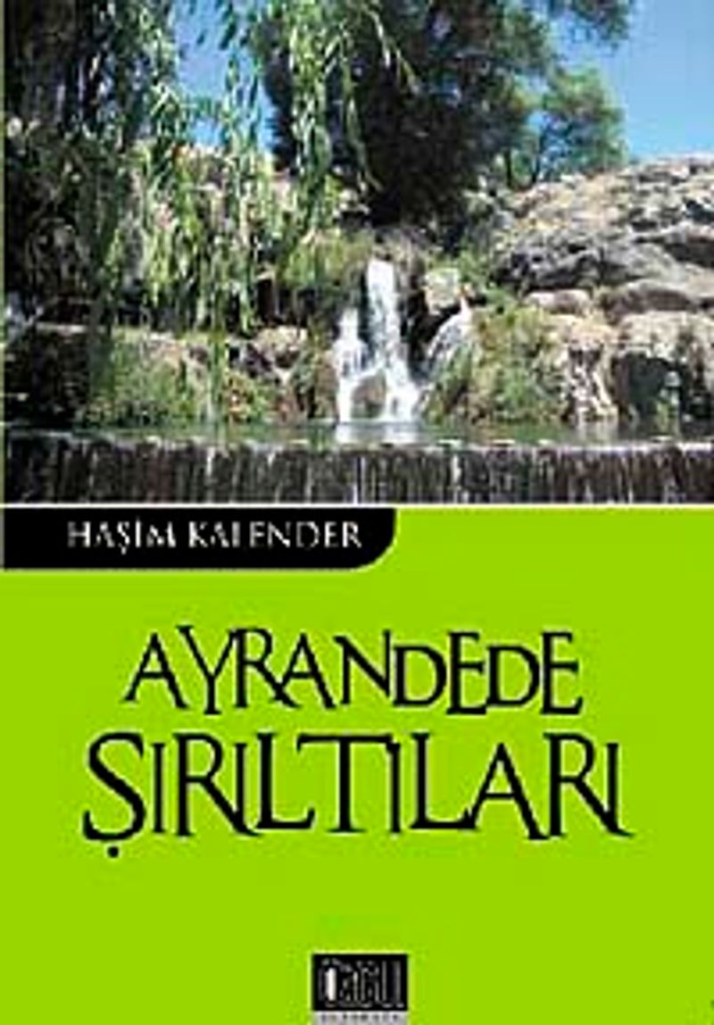Ayrandede Şırıltıları kitap kapağı