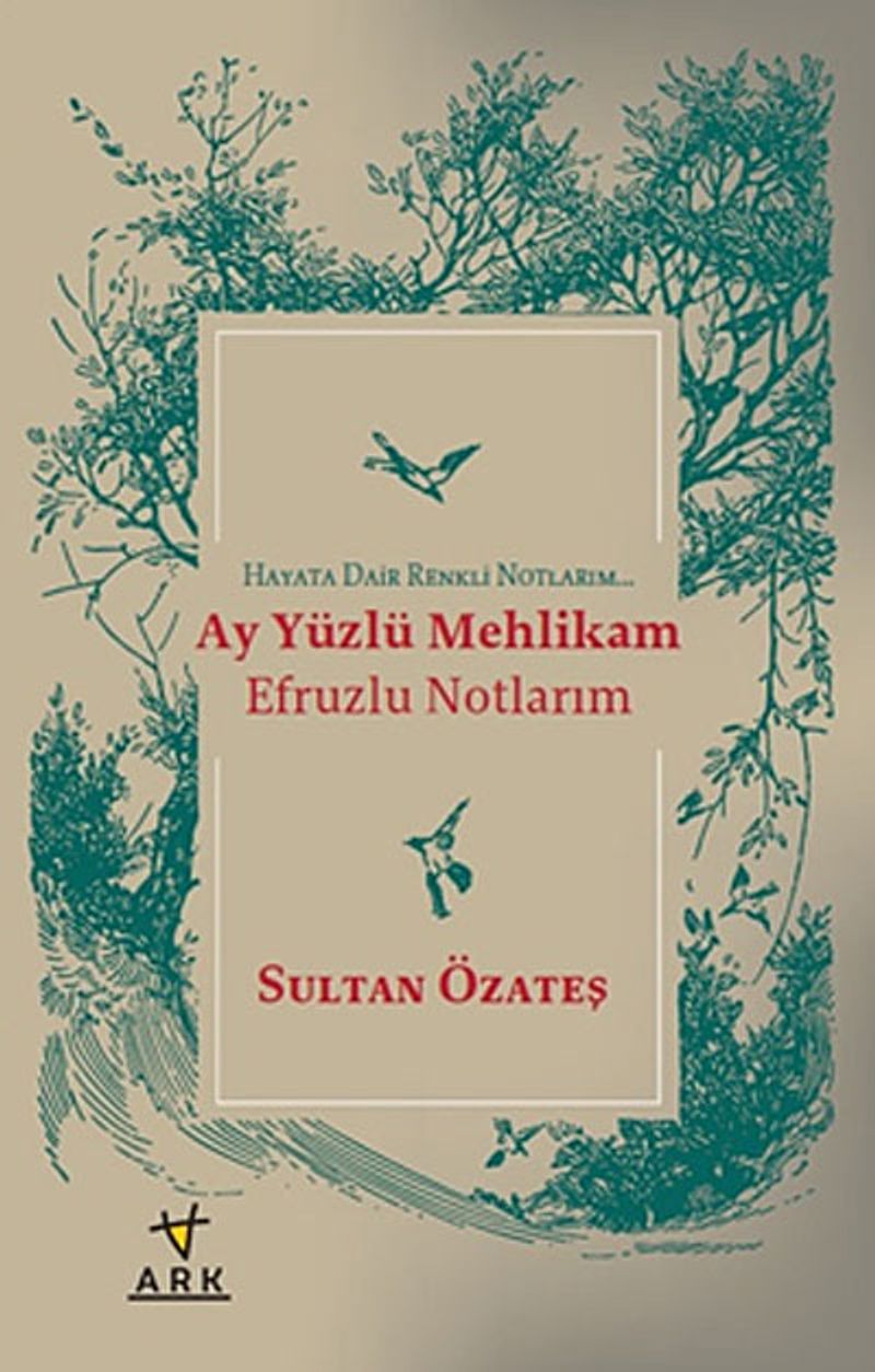 Ay Yüzlü Mehlikam - Efruzlu Notlarım Hayata Dair Renkli Notlarım kitap kapağı