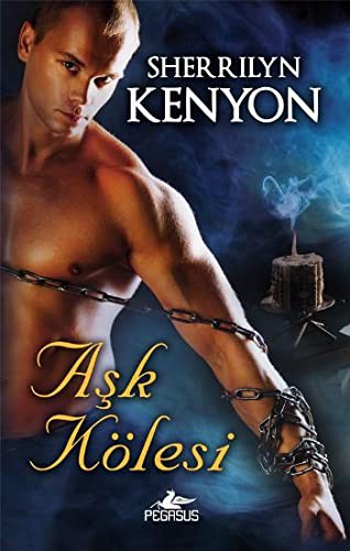Aşk Kölesi kitap kapağı