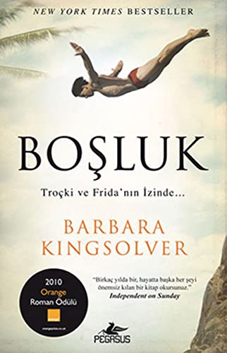 Boşluk kitap kapağı