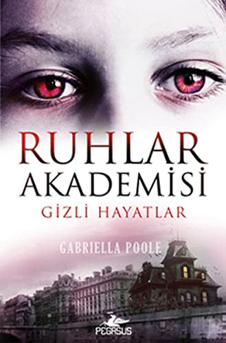 Ruhlar Akademisi -1 / Gizli Hayatlar kitap kapağı