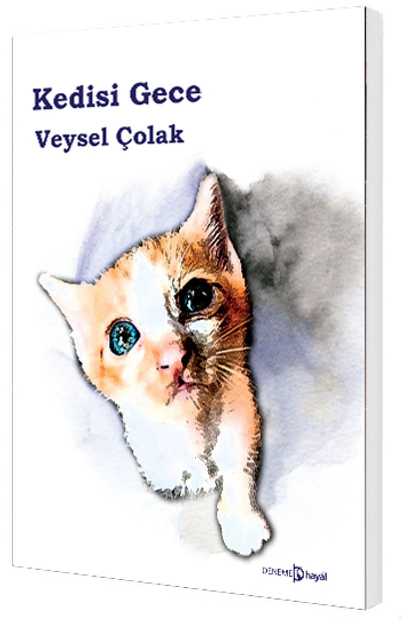 Kedisi Gece kitap kapağı