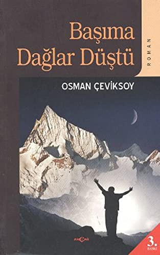 Başıma Dağlar Düştü kitap kapağı
