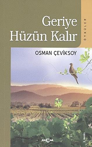 Geriye Hüzün Kalır kitap kapağı