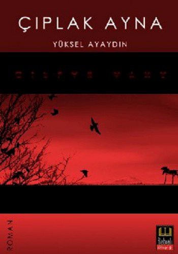 Çıplak Ayna kitap kapağı