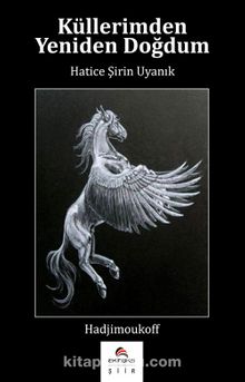 Küllerimden Yeniden Doğdum kitap kapağı