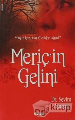Meriç'in Gelini kitap kapağı