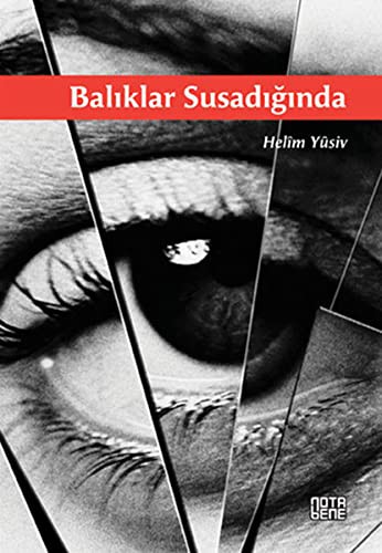 Balıklar Susadığında kitap kapağı