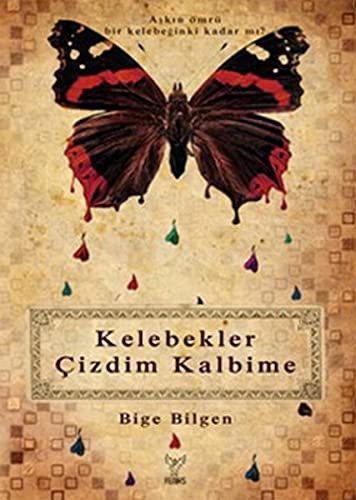 Kelebekler Çizdim Kalbime kitap kapağı