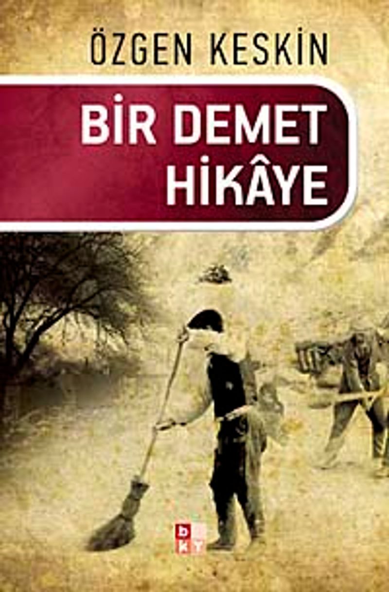 Bir Demet Hikaye kitap kapağı