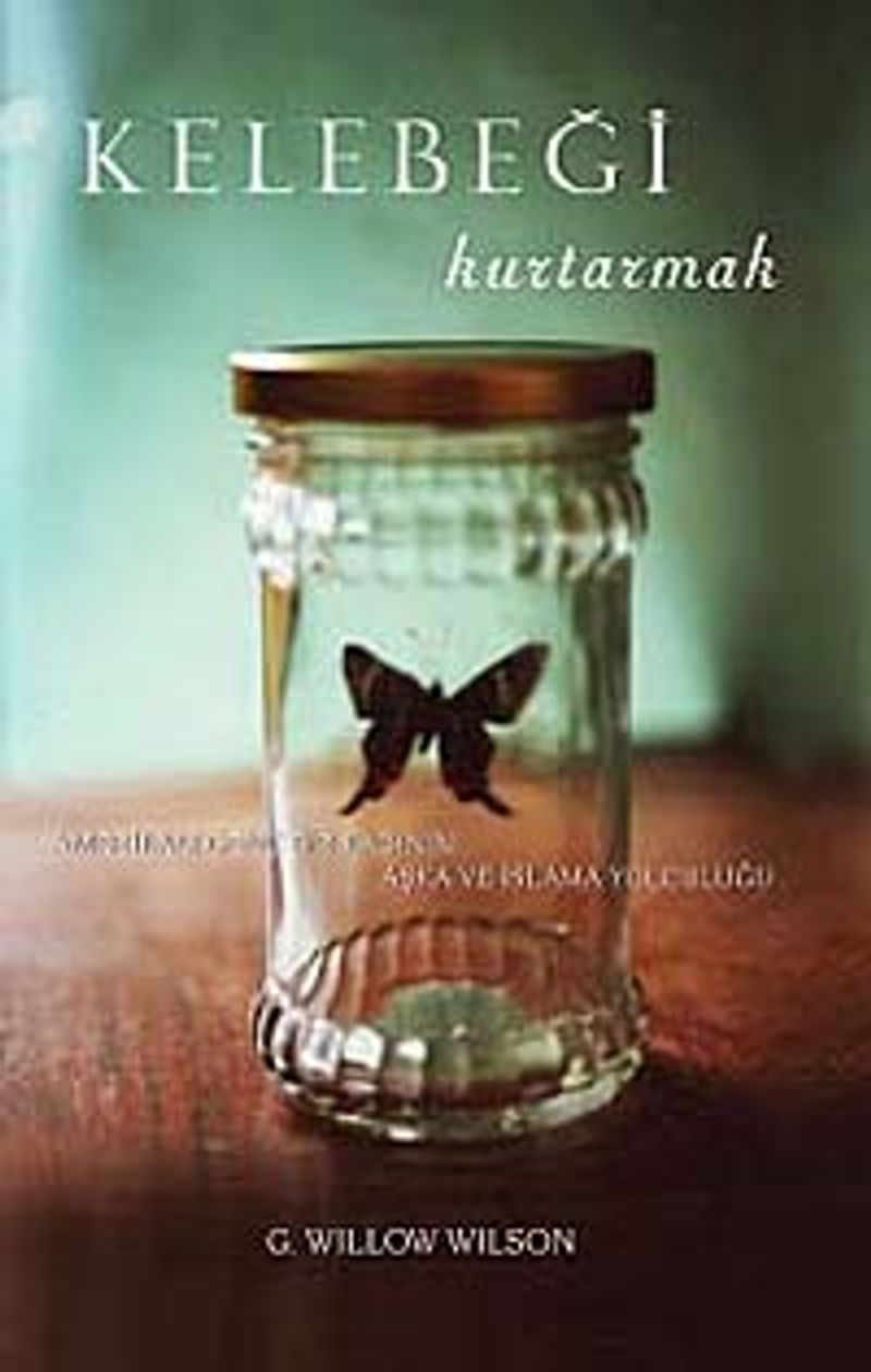 Kelebeği Kurtarmak kitap kapağı