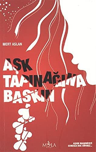 Aşk Tapınağına Baskın kitap kapağı