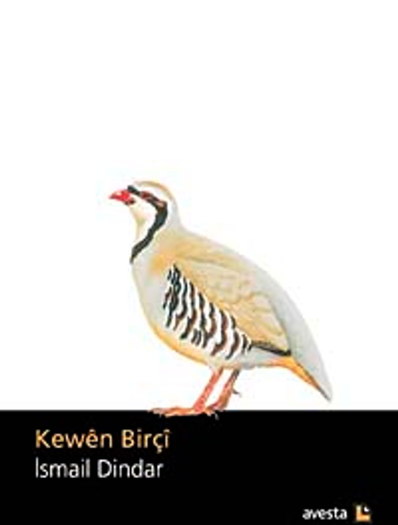 Kewen Birçi kitap kapağı