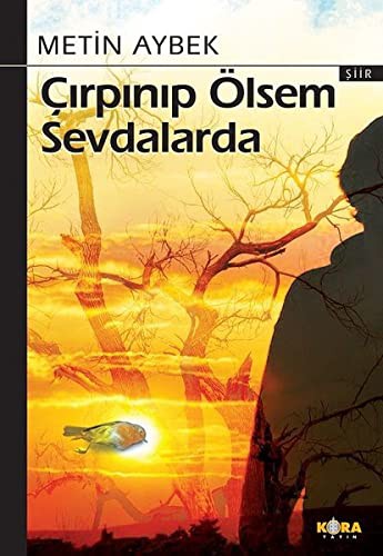 Çırpınıp Ölsem Sevdalarda kitap kapağı