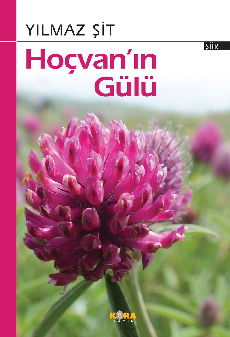 Hoçvan'ın Gülü Türkçe (Kürtçe Şiirler) kitap kapağı