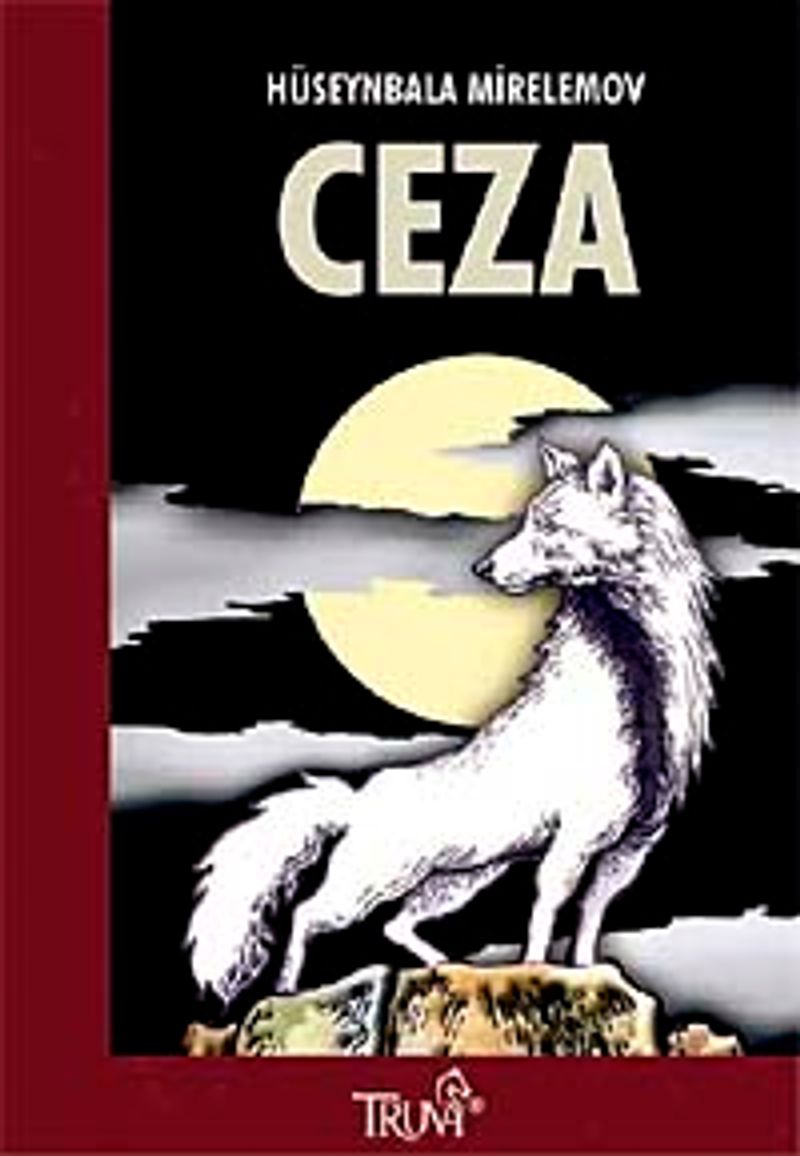 Ceza kitap kapağı