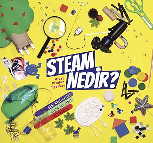 Steam Nedir? kitap kapağı
