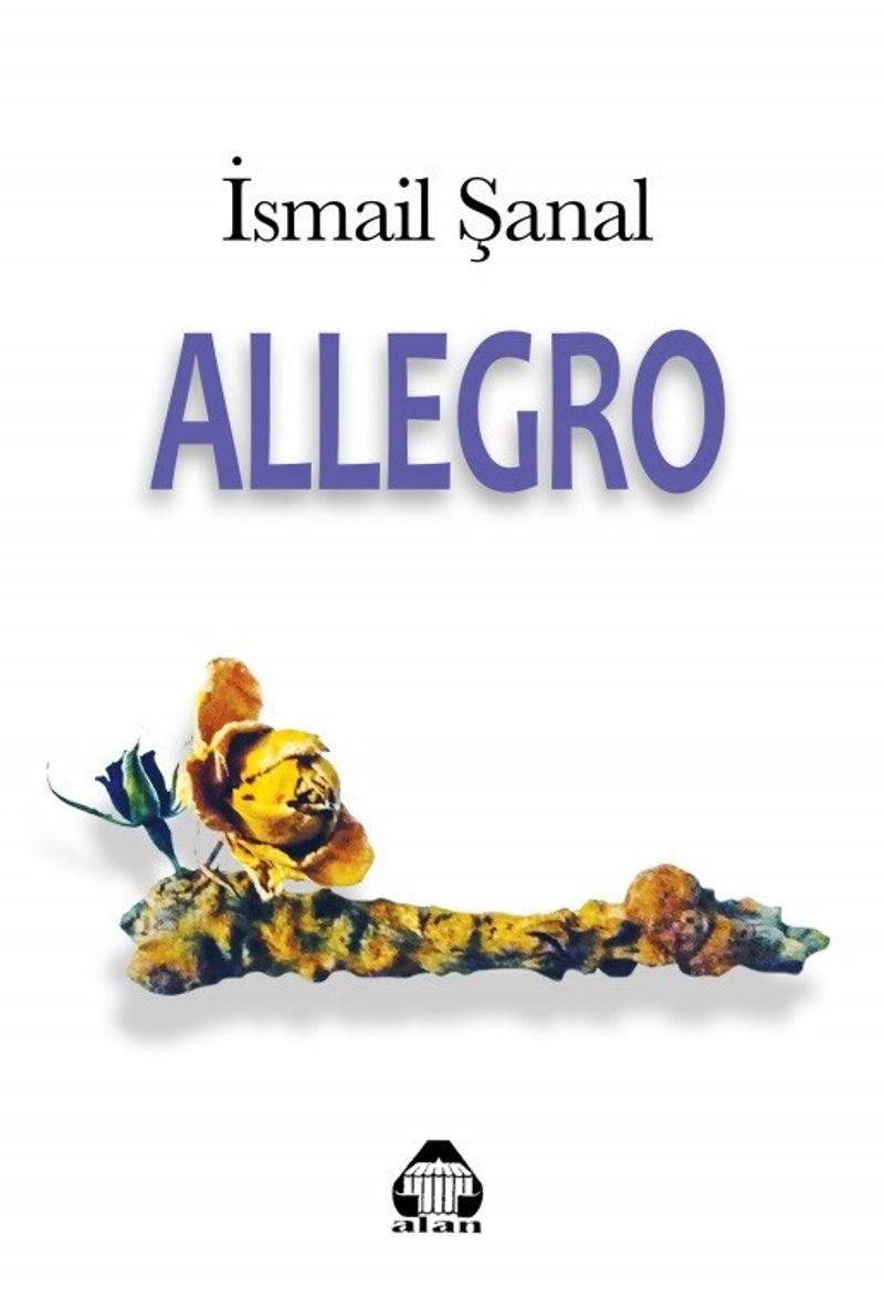 Allegro kitap kapağı