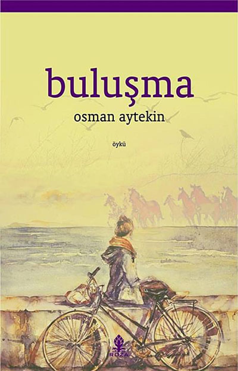 Buluşma kitap kapağı