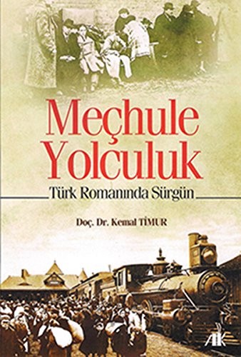 Meçhule Yolculuk Türk Romanında Sürgün kitap kapağı