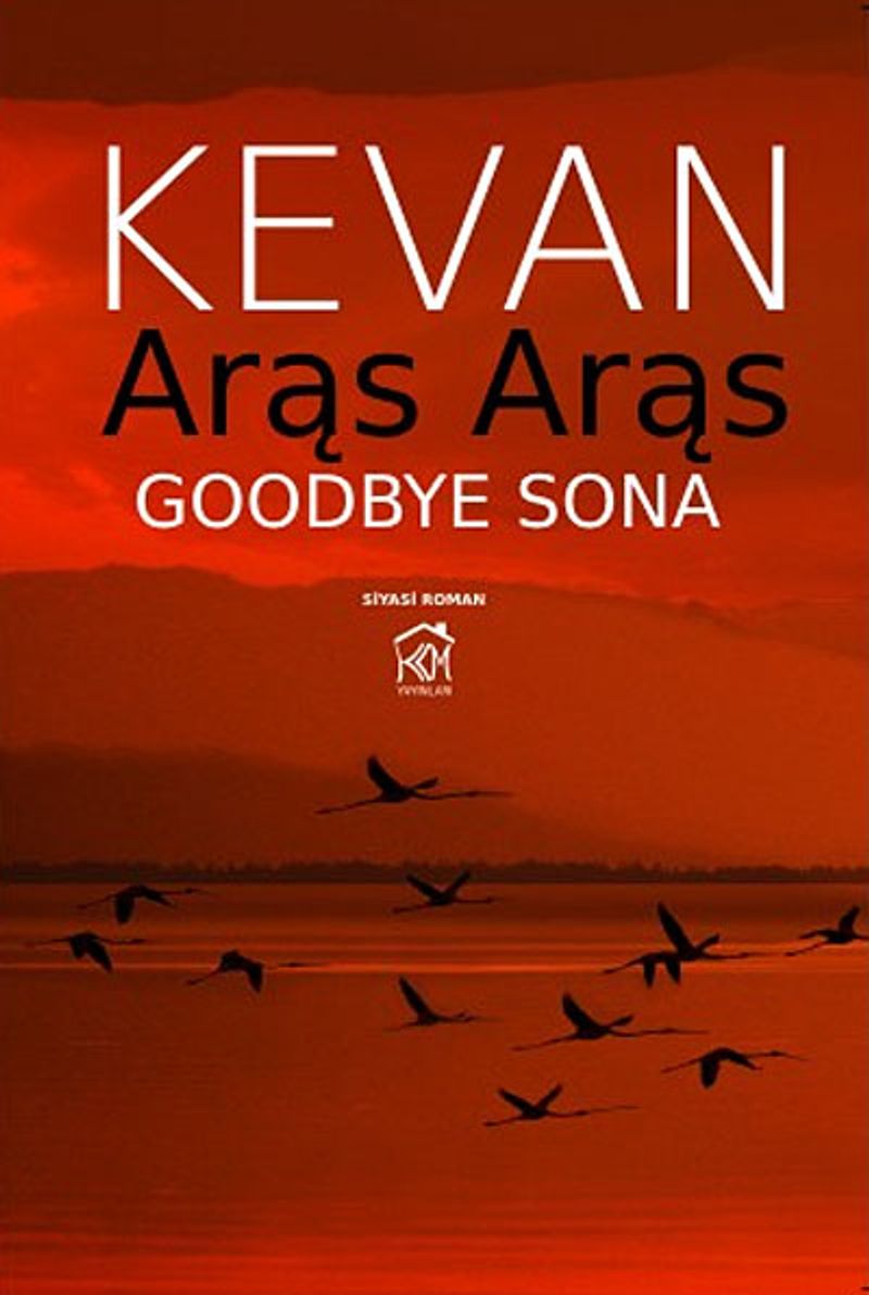 Aras Aras Goodbye Sona kitap kapağı