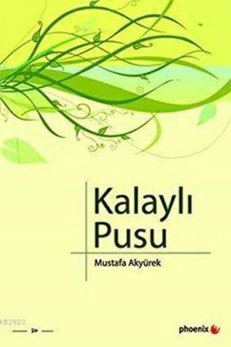 Kalaylı Pusu kitap kapağı