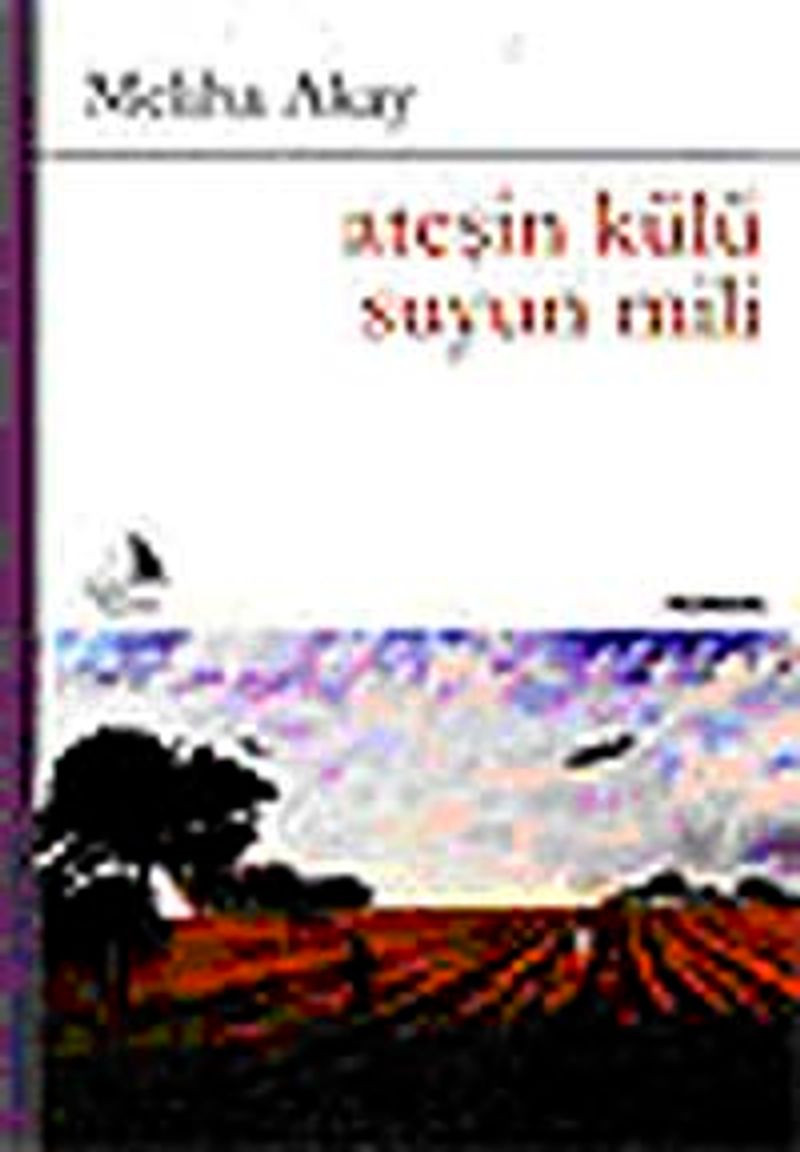 Ateşin Külü Suyun Mili kitap kapağı