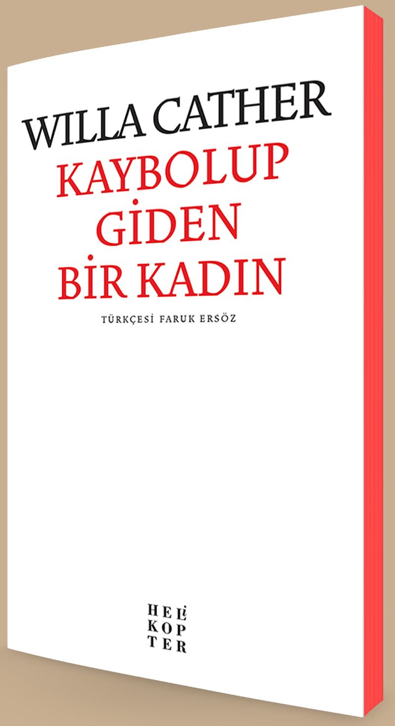 Kaybolup Giden Bir Kadın kitap kapağı