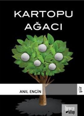Kartopu Ağacı kitap kapağı