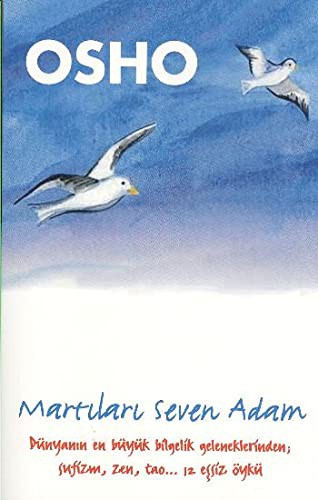 Martıları Seven Adam kitap kapağı
