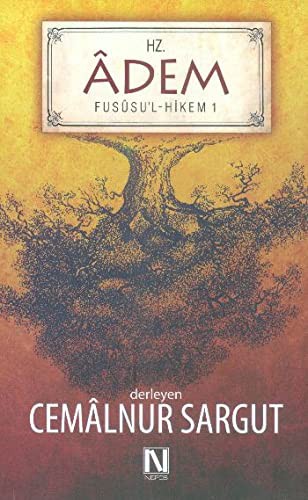 Hz. Adem / Fususul Hikem Çalışmaları-1 kitap kapağı