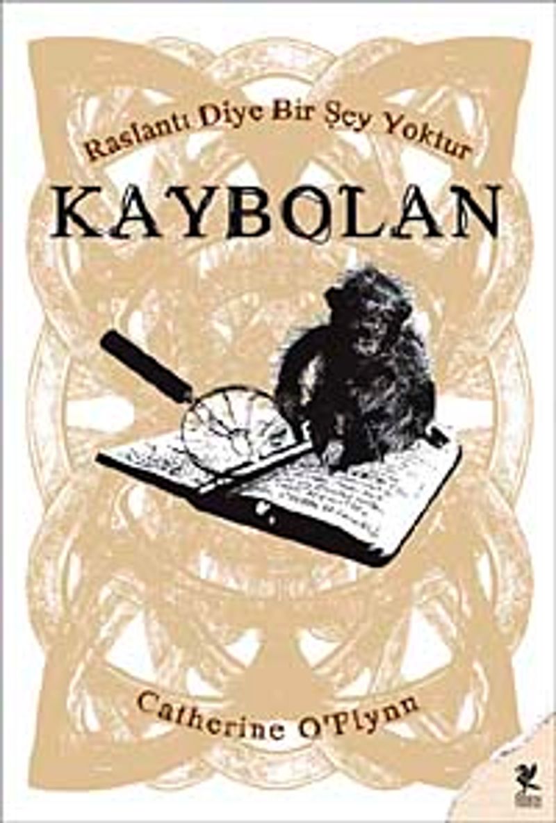 Kaybolan kitap kapağı