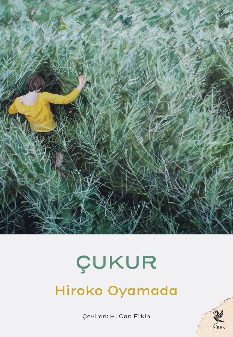 Çukur kitap kapağı