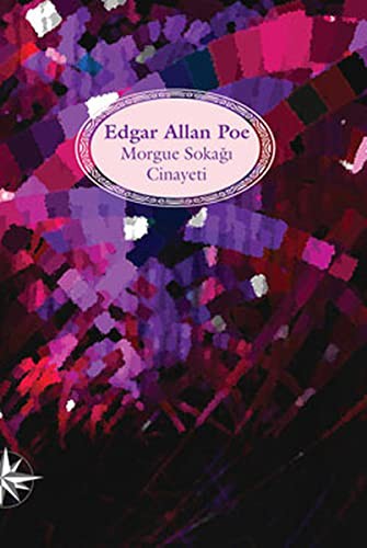Morgue Sokağı Cinayeti (Ciltli) kitap kapağı