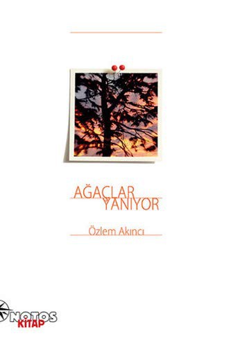 Ağaçlar Yanıyor kitap kapağı