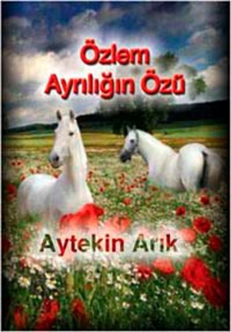 Özlem Ayrılığın Özü kitap kapağı