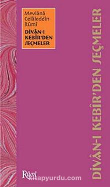 Divan-ı Kebir'den Seçmeler kitap kapağı