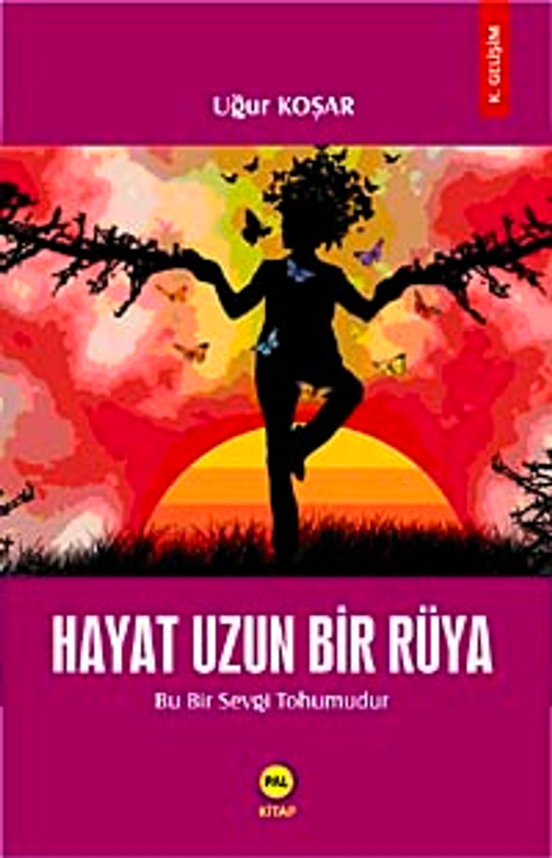 Hayat Uzun Bir Rüya kitap kapağı