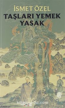 Taşları Yemek Yasak kitap kapağı
