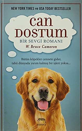 Can Dostum Bir Sevgi Romanı kitap kapağı