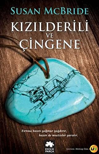Kızılderili ve Çingene kitap kapağı
