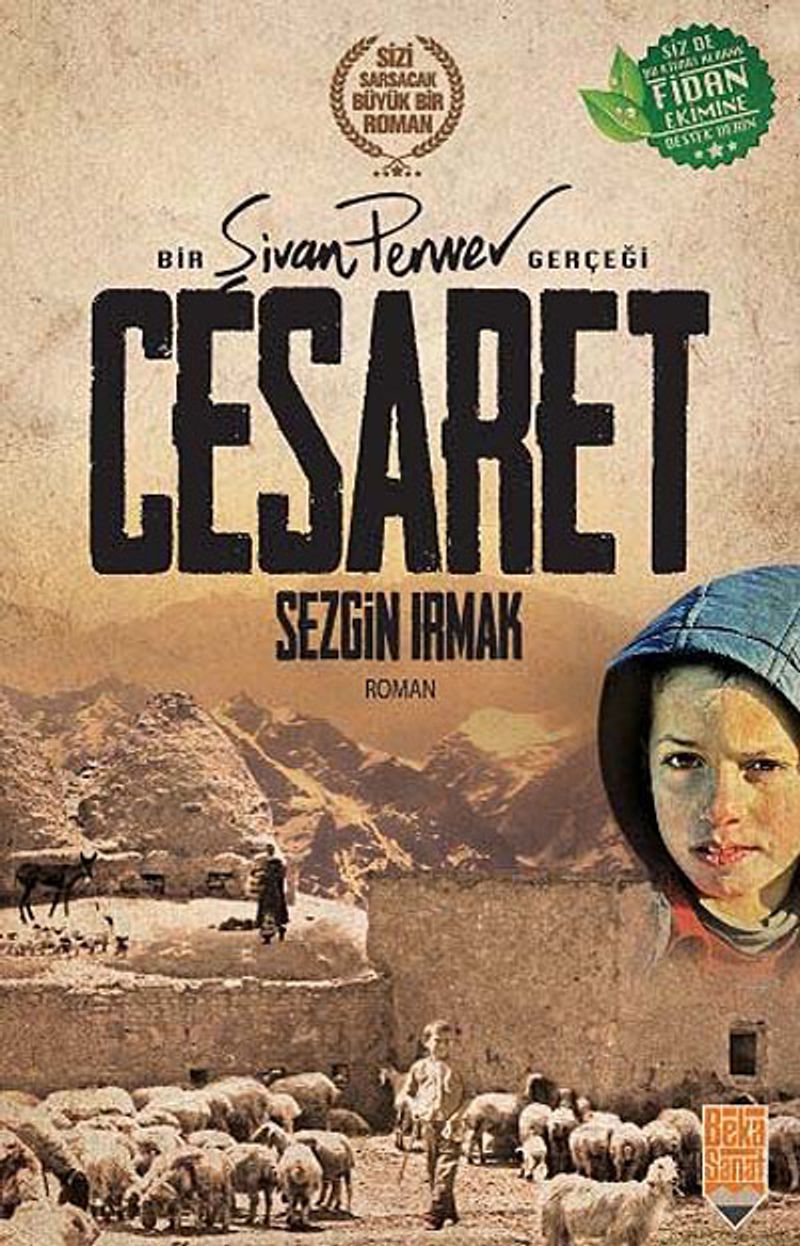 Bir Şivan Perver Gerçeği Cesaret kitap kapağı