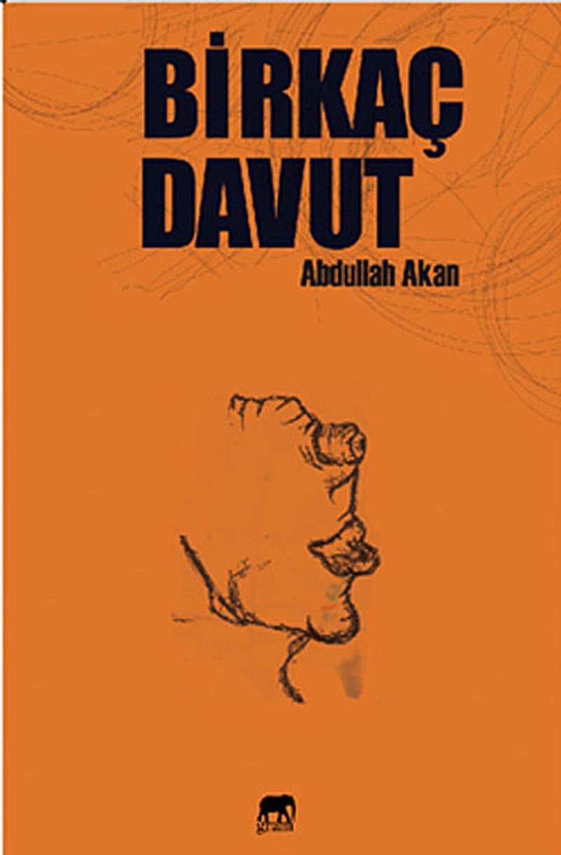 Birkaç Davut kitap kapağı
